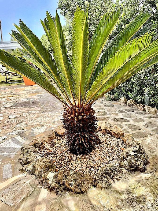Lorelai Beach Marsala Esterno foto